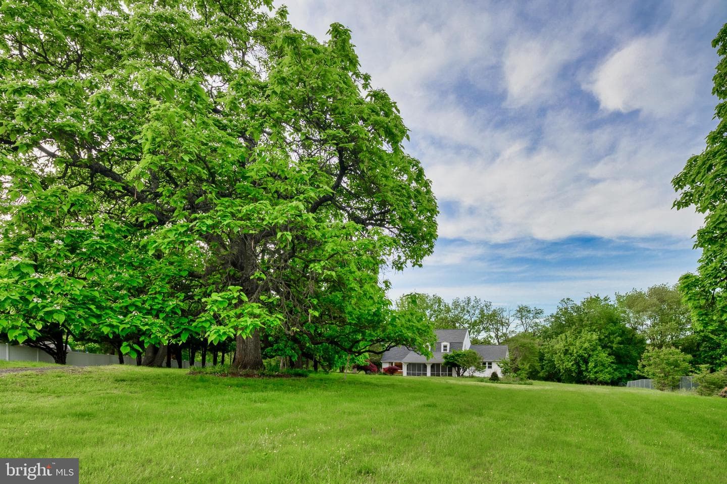 10306 Cleary Lane photo 3