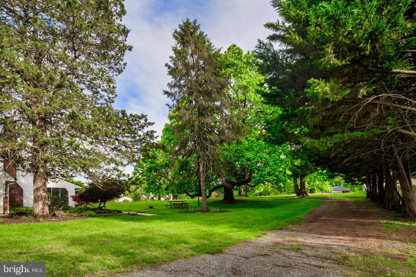 10306 Cleary Lane photo 4