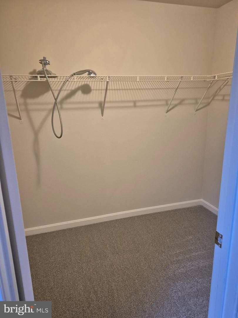 7006 Chain Fern Court photo 14