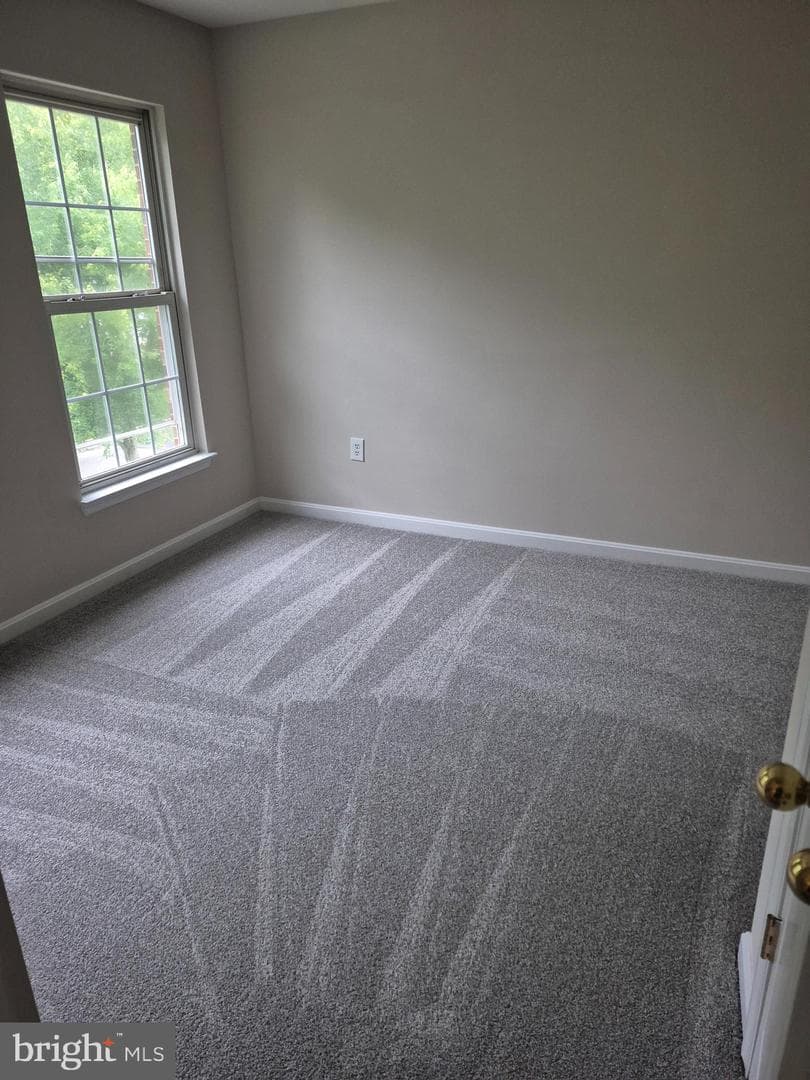 7006 Chain Fern Court photo 19