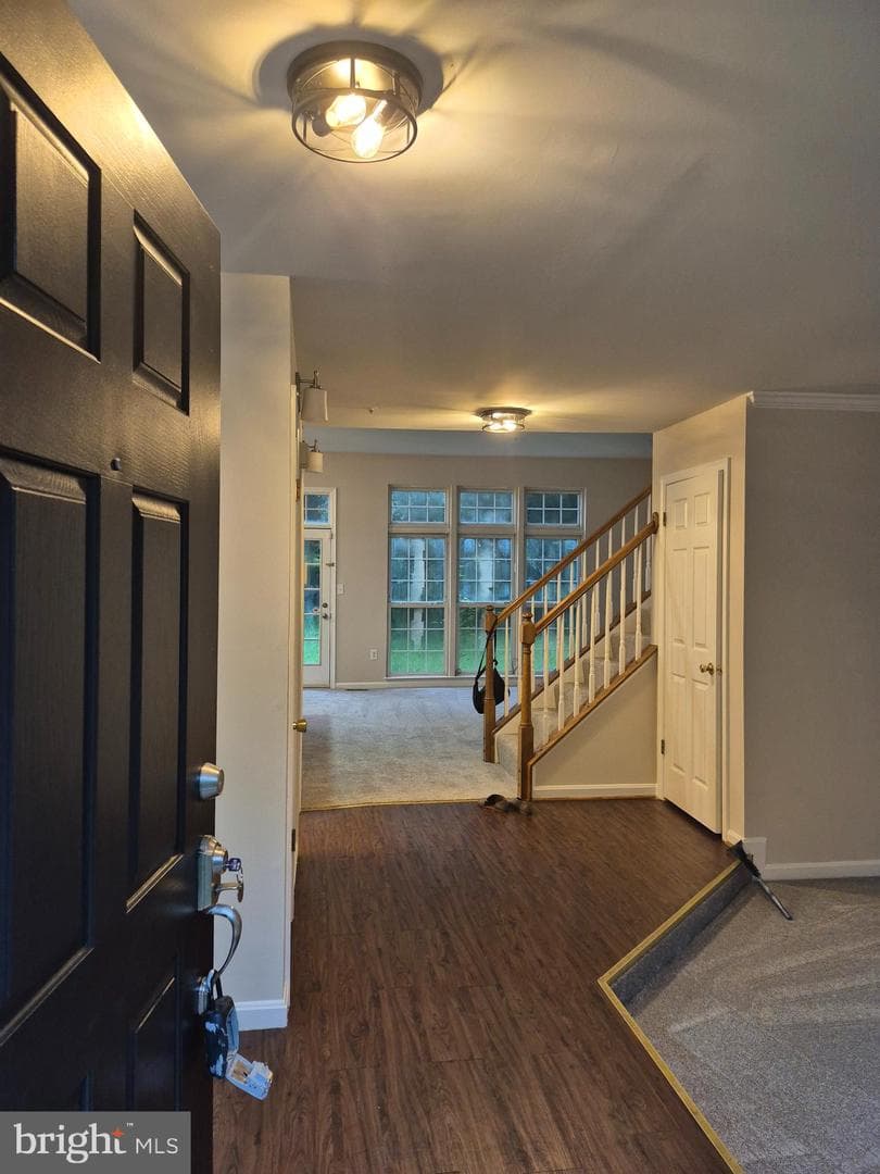 7006 Chain Fern Court photo 2