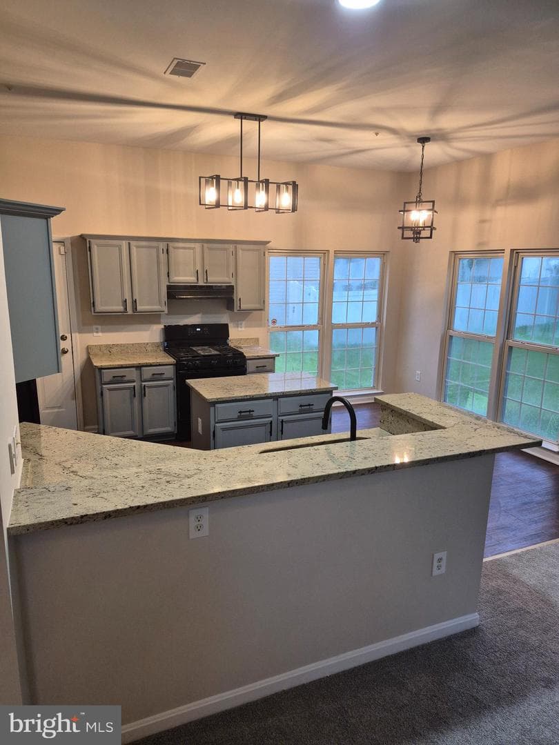 7006 Chain Fern Court photo 7