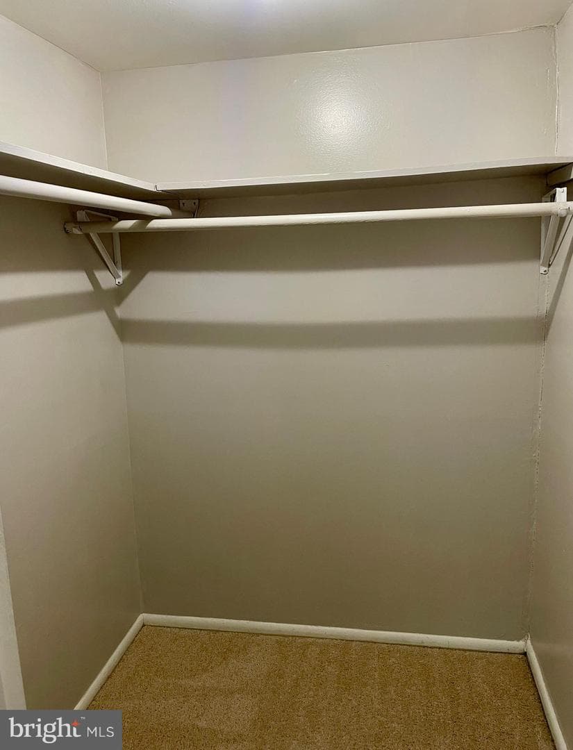 11352 Cherry Hill Road #1y304 photo 14