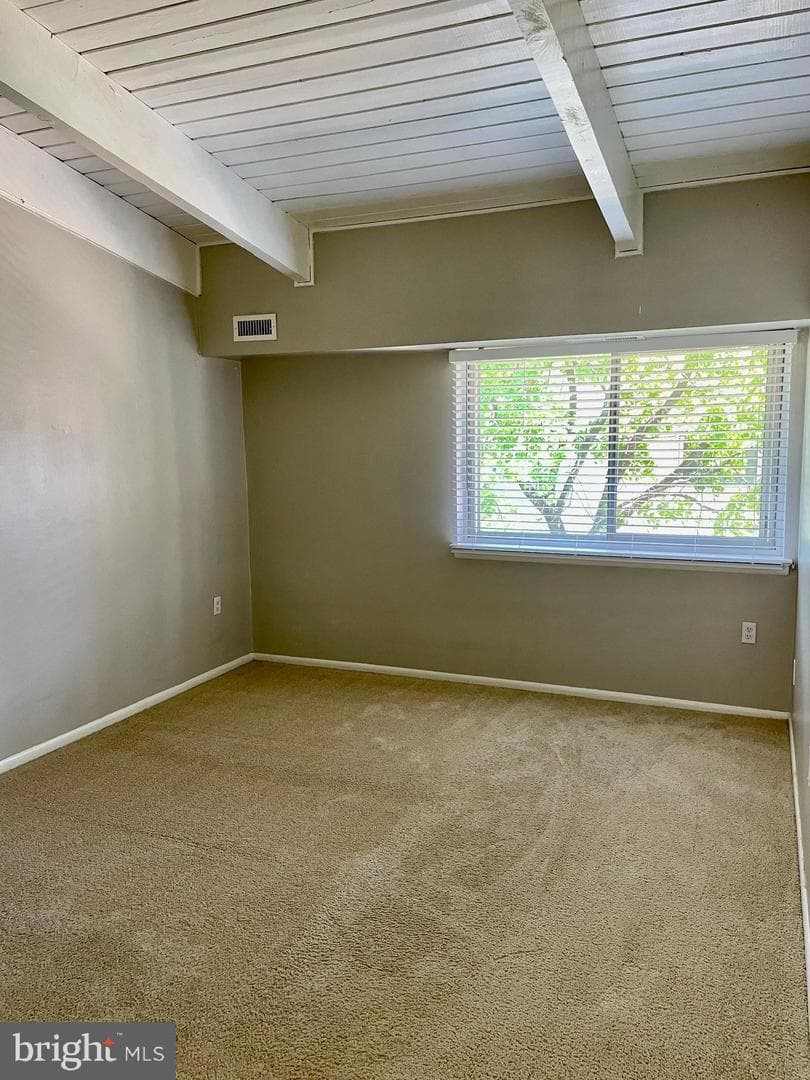 11352 Cherry Hill Road #1y304 photo 15