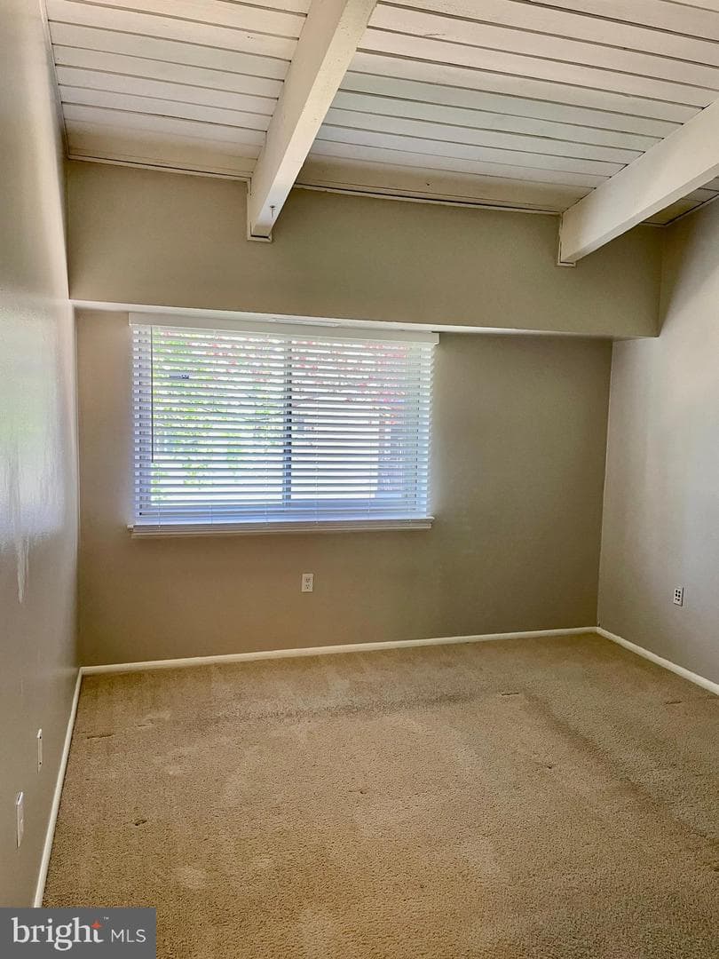 11352 Cherry Hill Road #1y304 photo 17