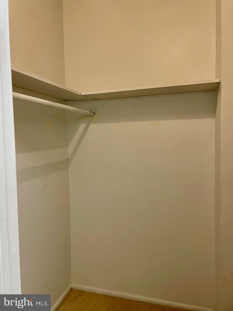 11352 Cherry Hill Road #1y304 photo 19
