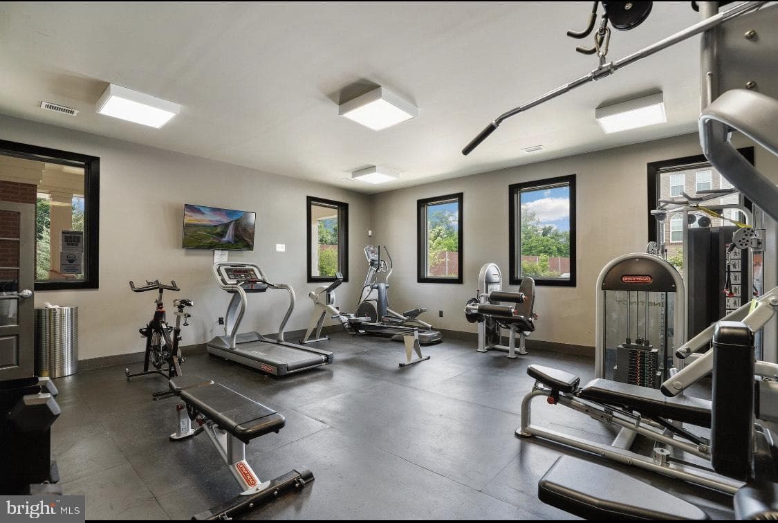 12521 Honey Locust Way photo 31