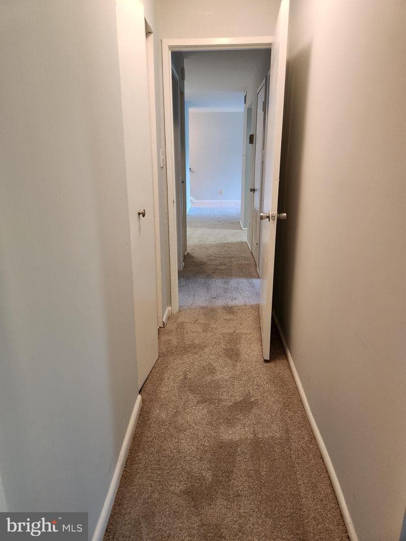 11220 Cherry Hill Road #243 photo 19