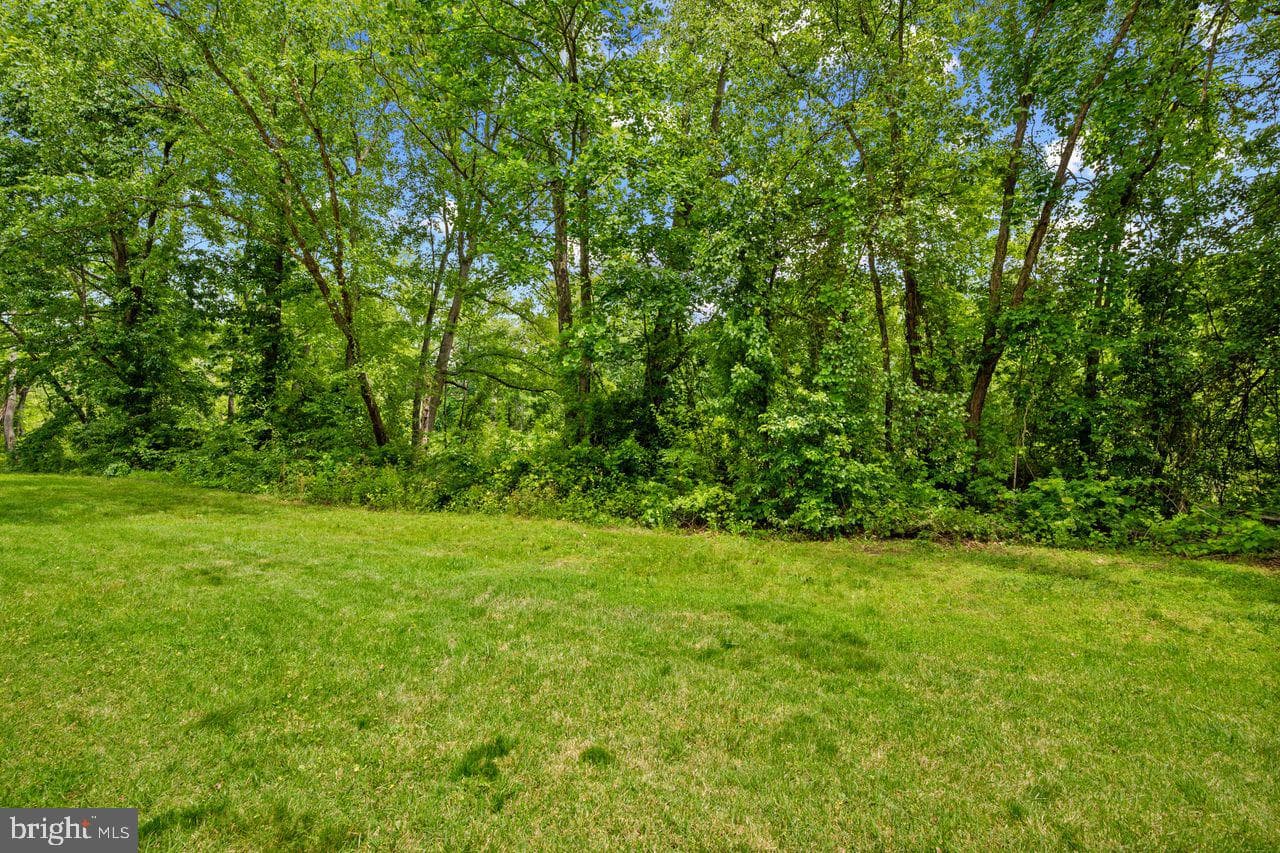 11419 Walpole Court photo 36