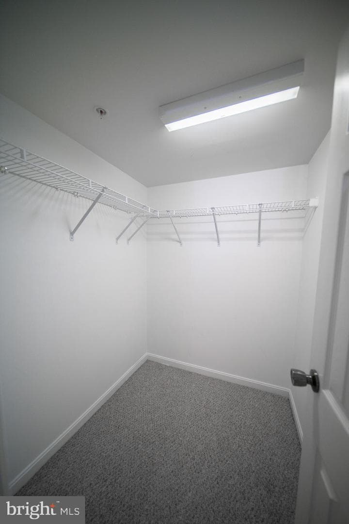 6821 Sand Cherry Way photo 50