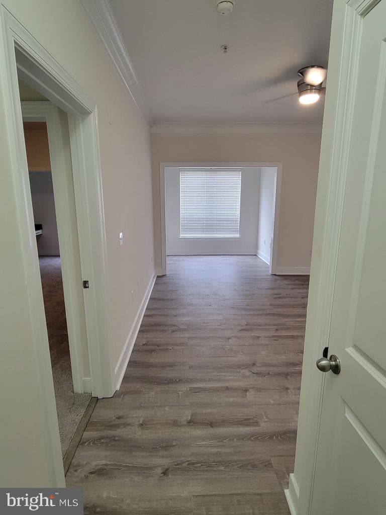 4703 Old Soper Road #444 photo 9