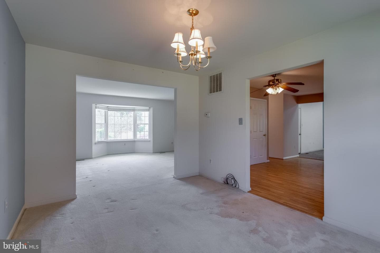 10703 Moray Court photo 14
