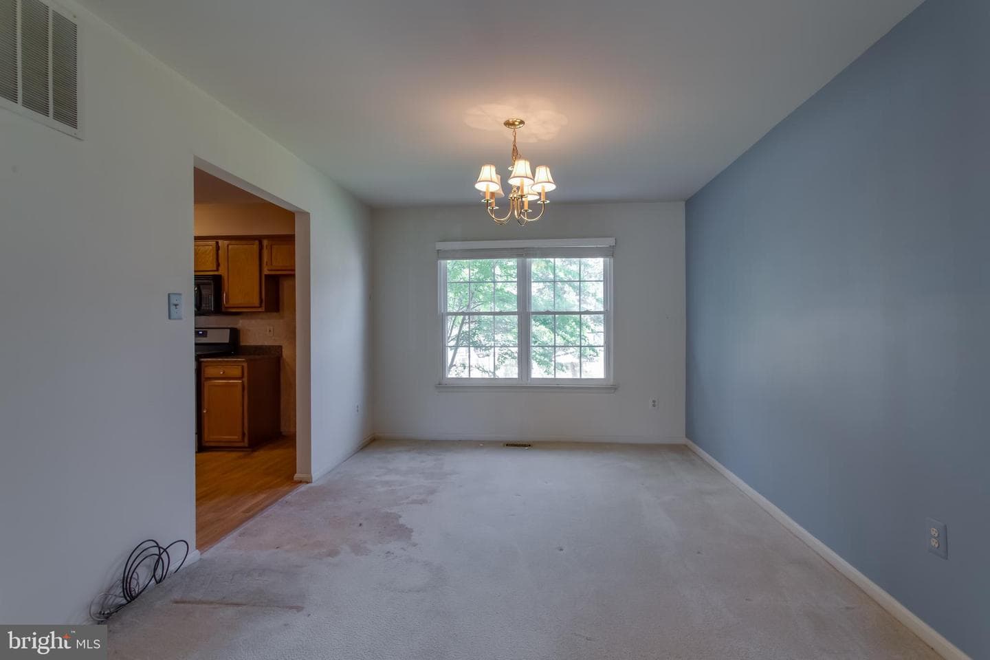 10703 Moray Court photo 15