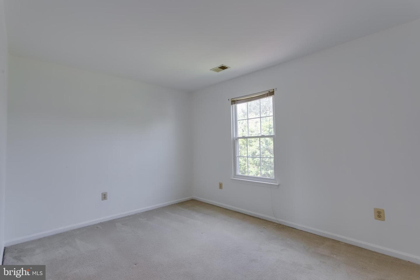 10703 Moray Court photo 28