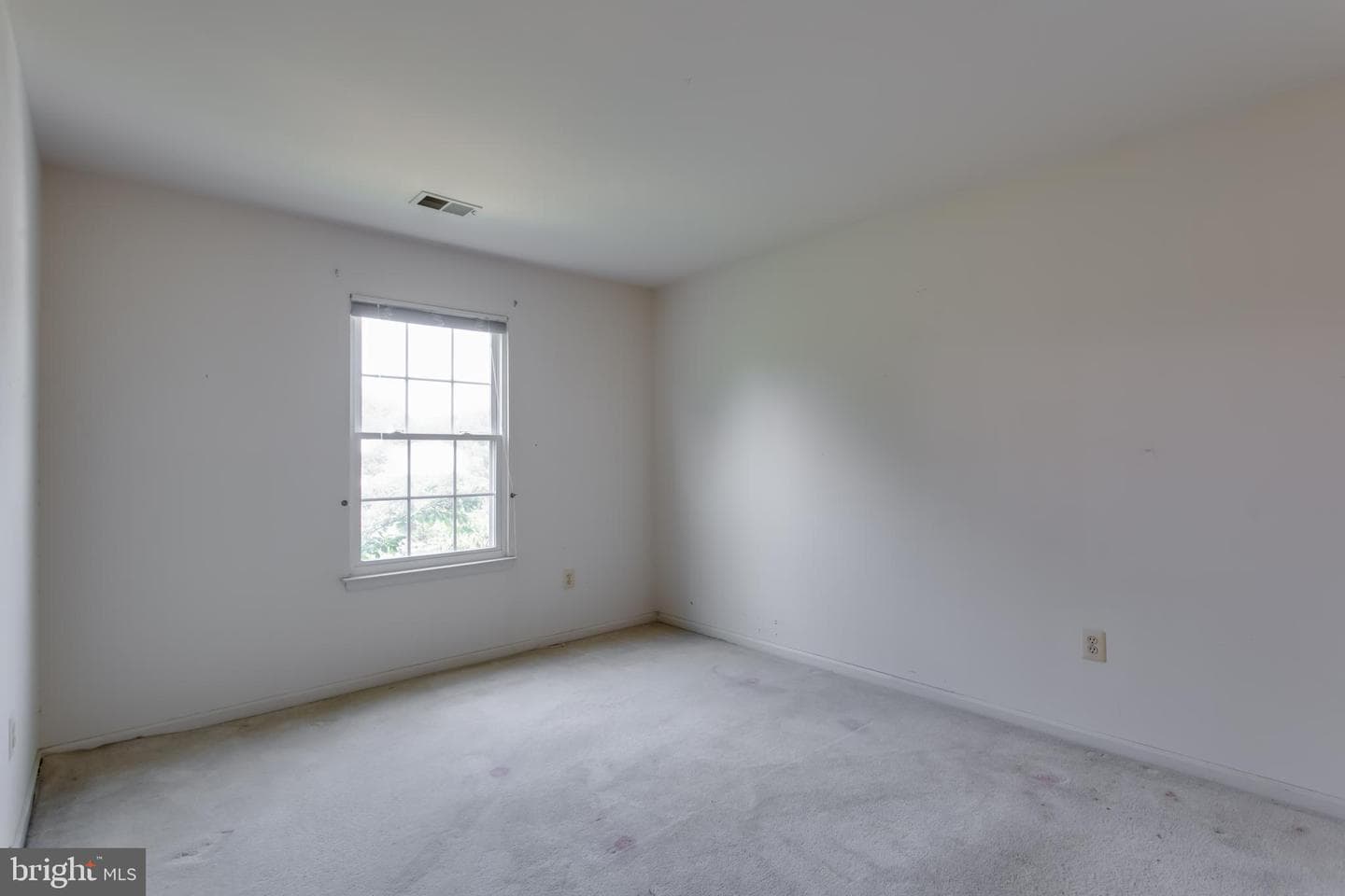 10703 Moray Court photo 30