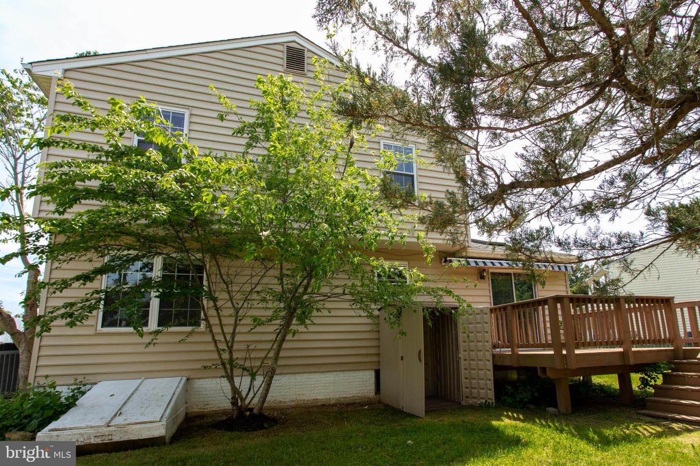10703 Moray Court photo 47