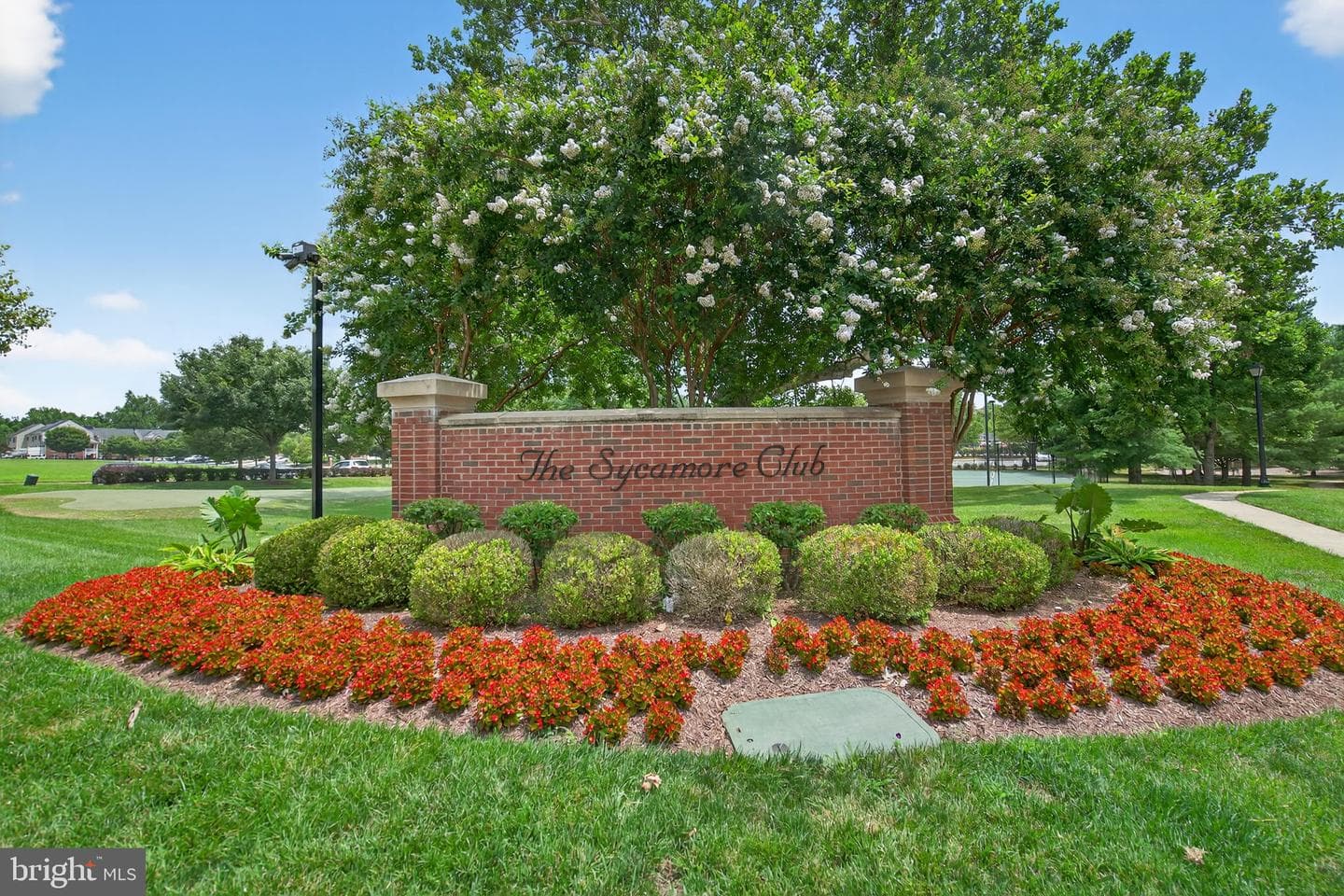 12628 Princes Choice Drive photo 31