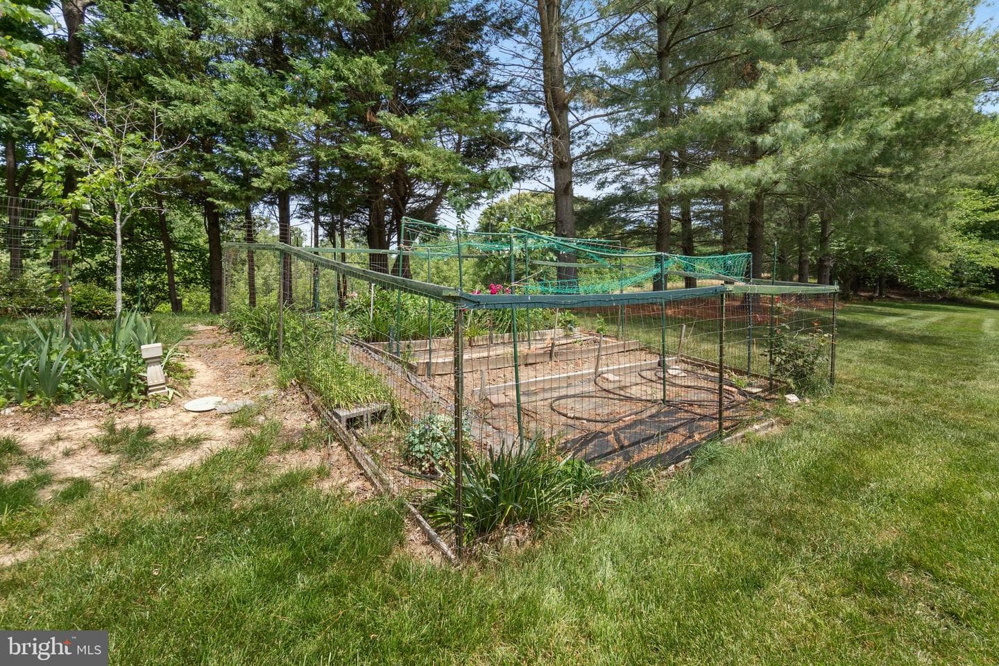 10309 Grandhaven Avenue photo 43