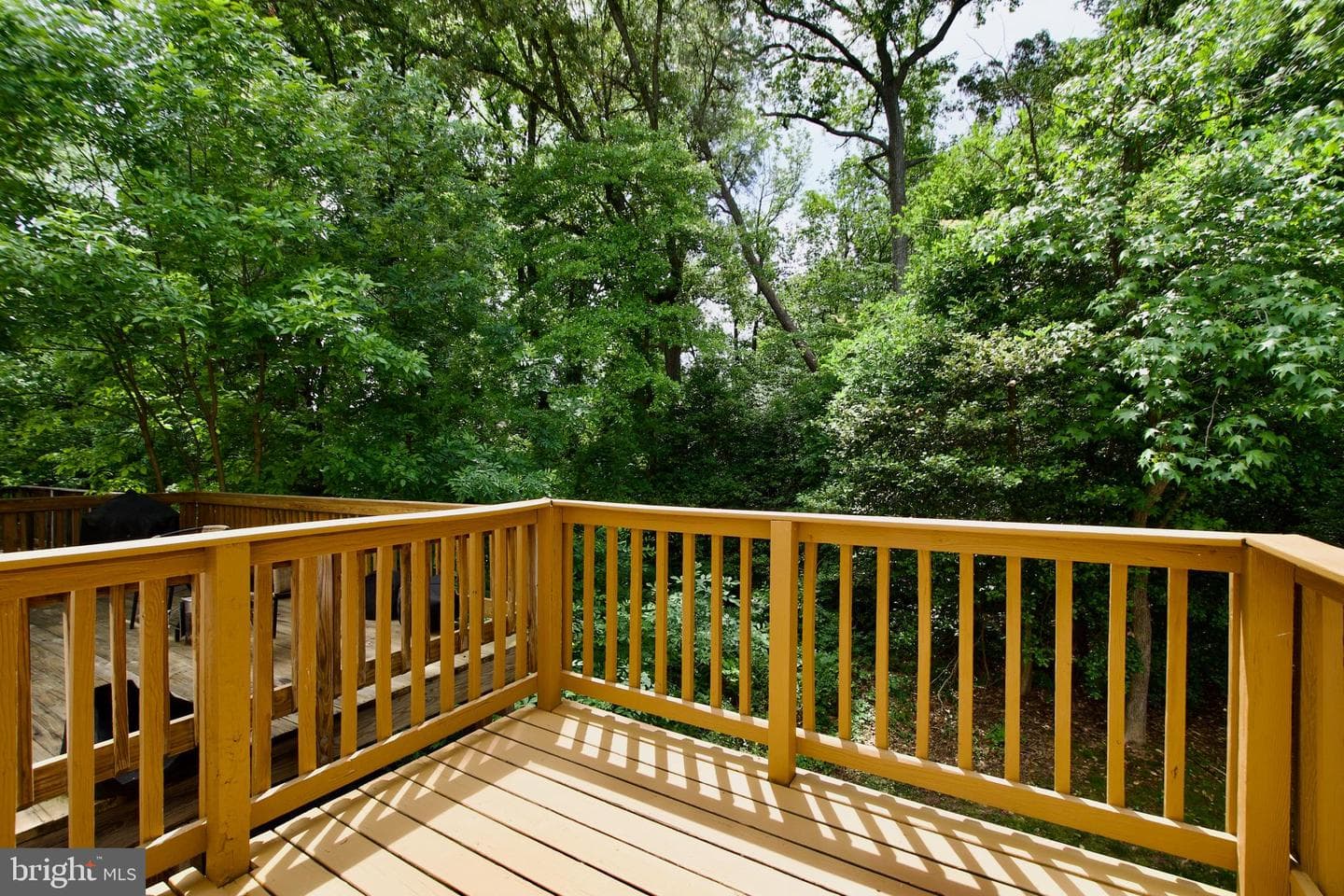 10303 Broom Lane photo 22