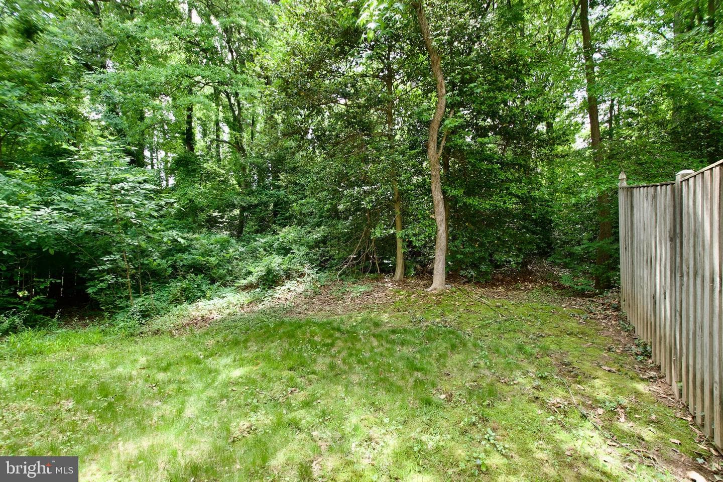 10303 Broom Lane photo 43