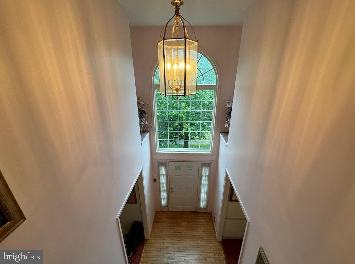 1803 Aragona Boulevard photo 1