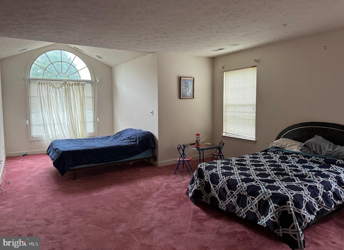 1803 Aragona Boulevard photo 15
