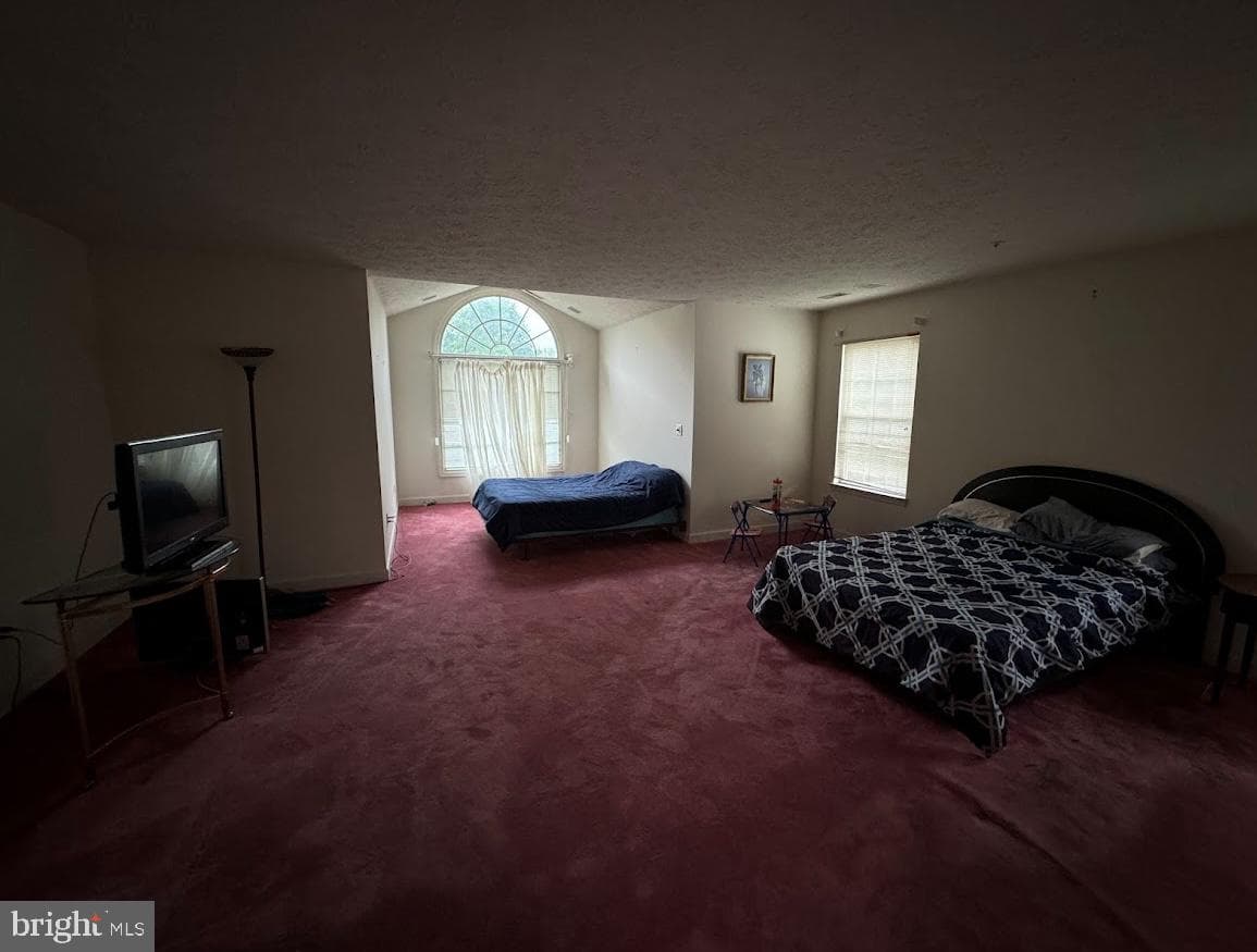 1803 Aragona Boulevard photo 17