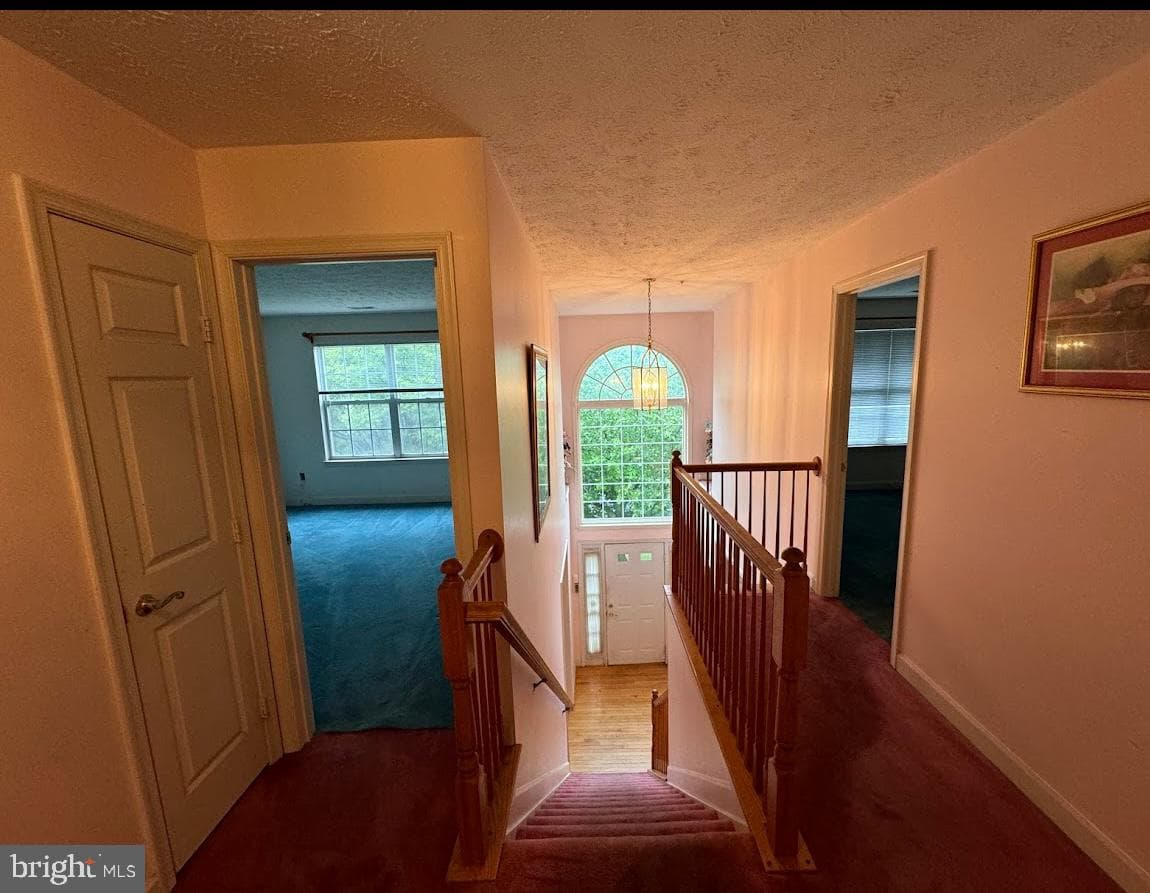1803 Aragona Boulevard photo 2