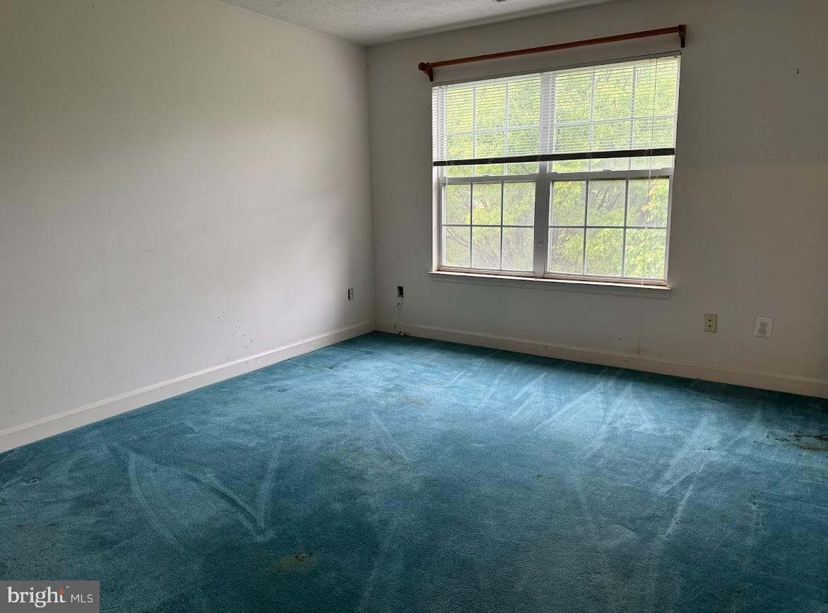 1803 Aragona Boulevard photo 20
