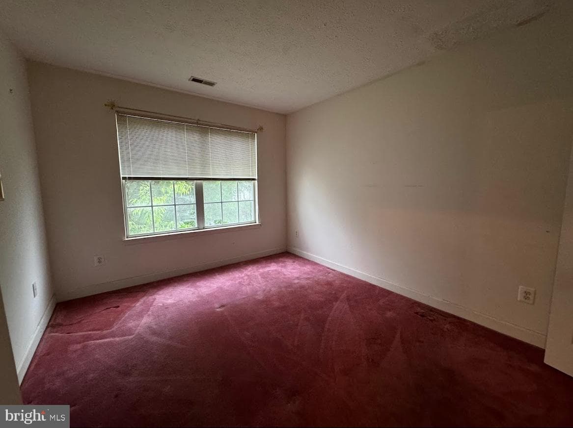 1803 Aragona Boulevard photo 22