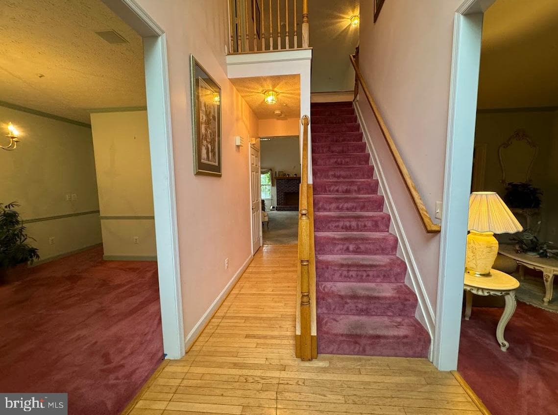 1803 Aragona Boulevard photo 3