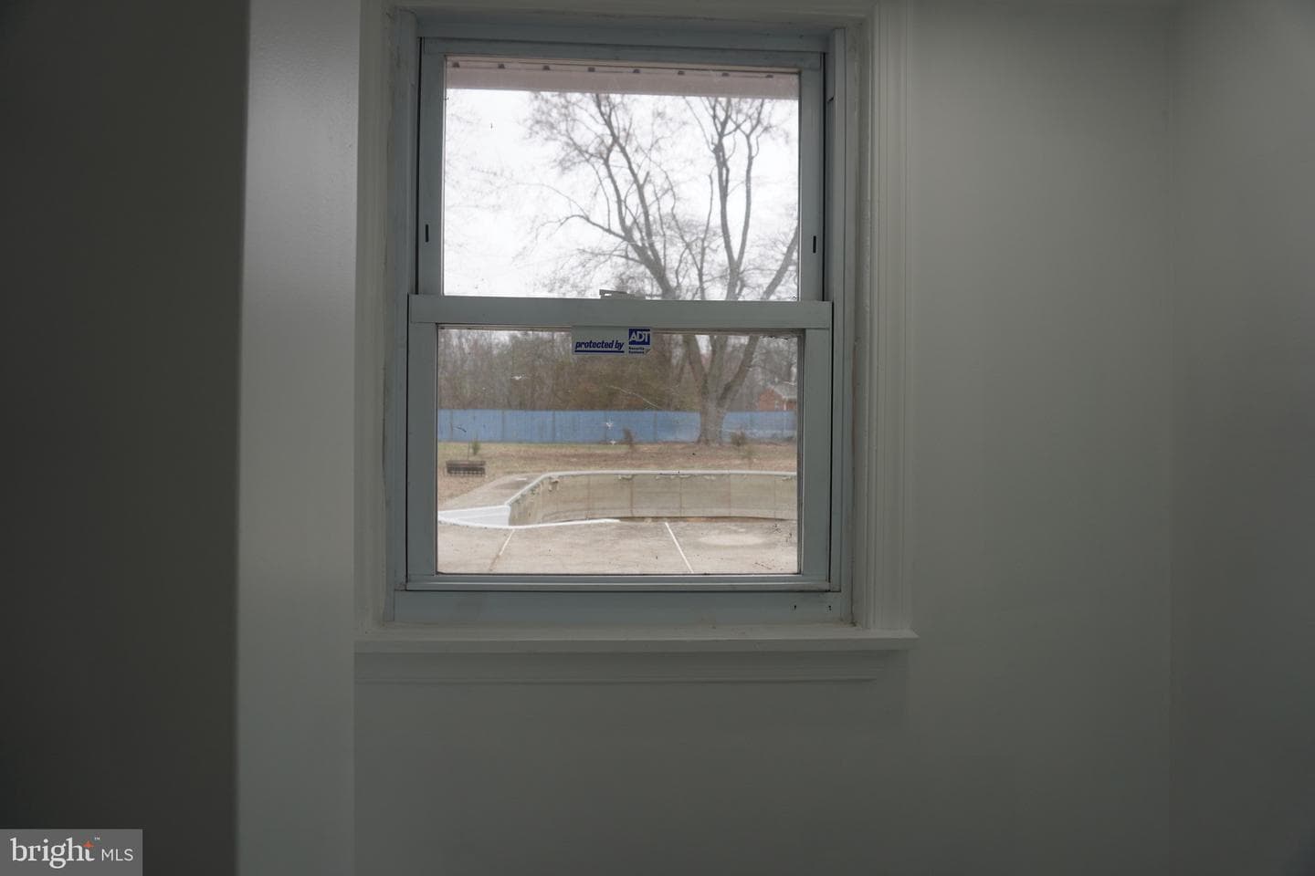 10122 Griff Drive photo 49