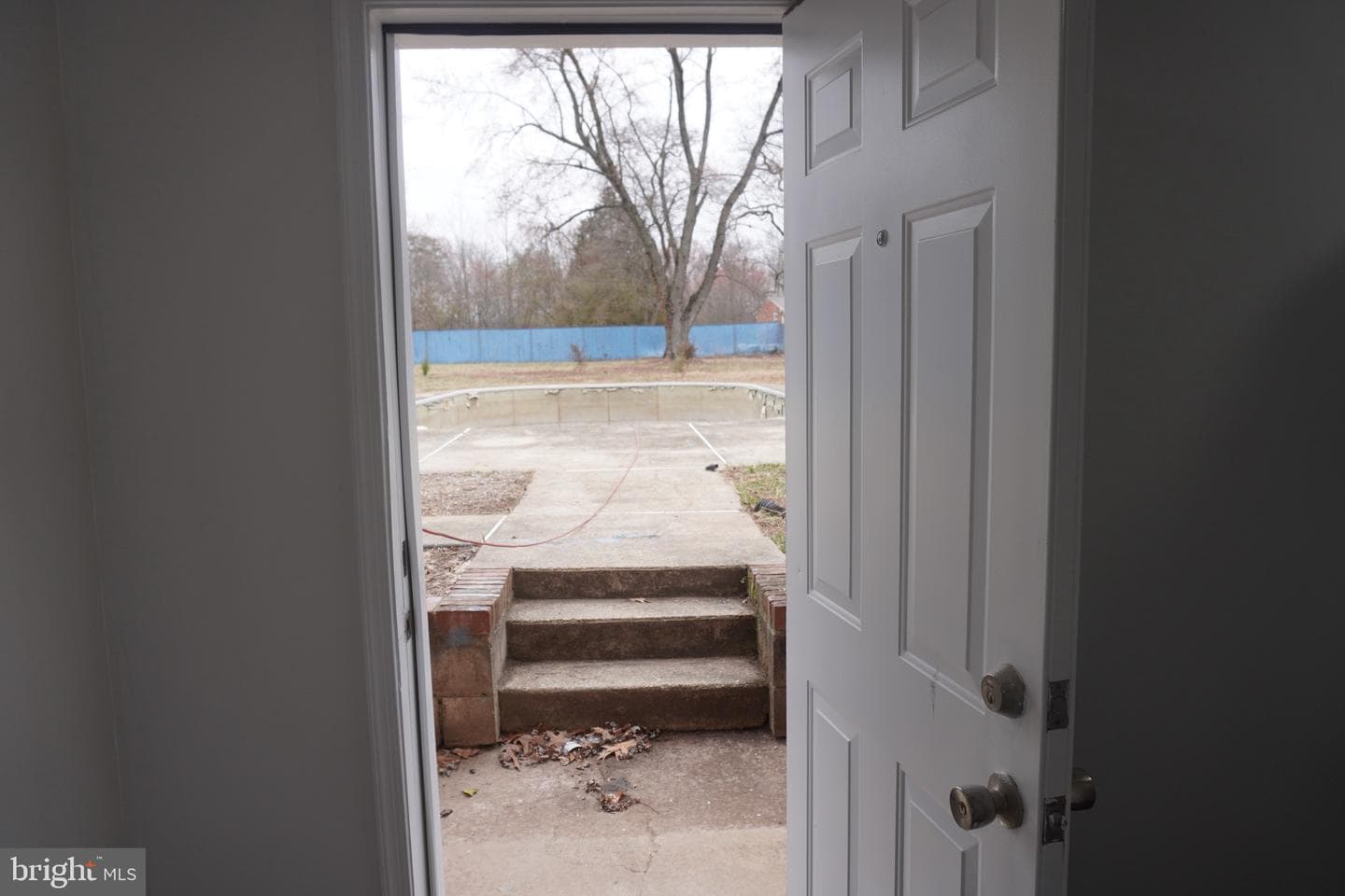 10122 Griff Drive photo 67