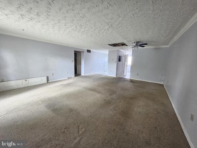 11248 Hannah Way #8 photo 10