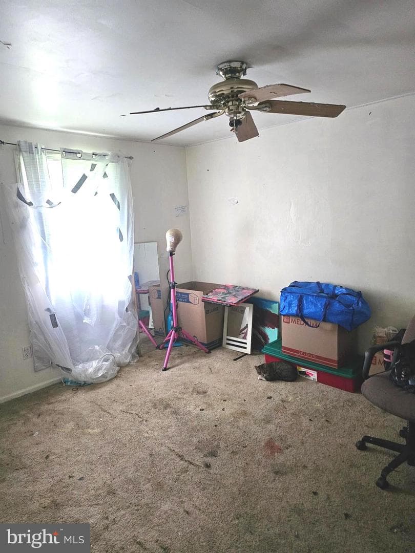 8805 Bolero Court photo 22