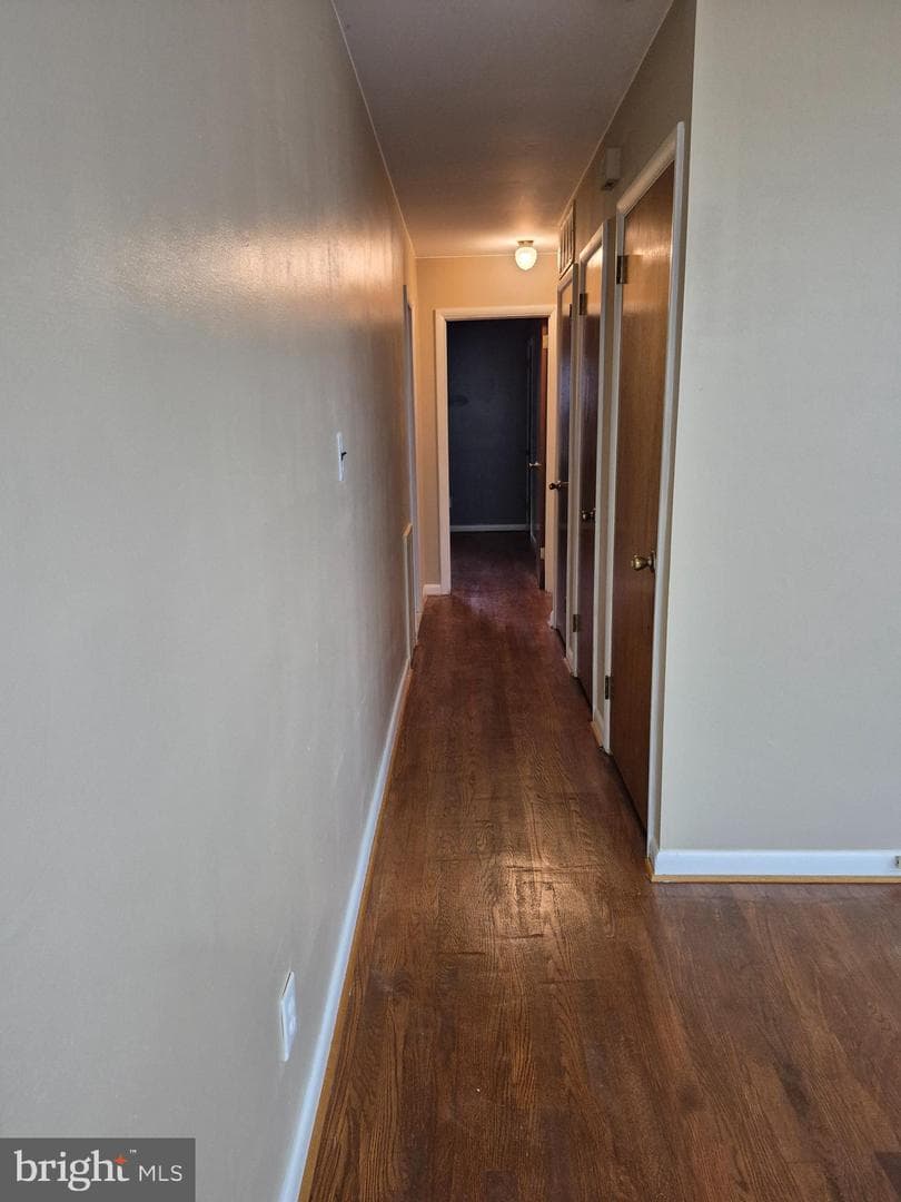 4704 Rockford Drive photo 6