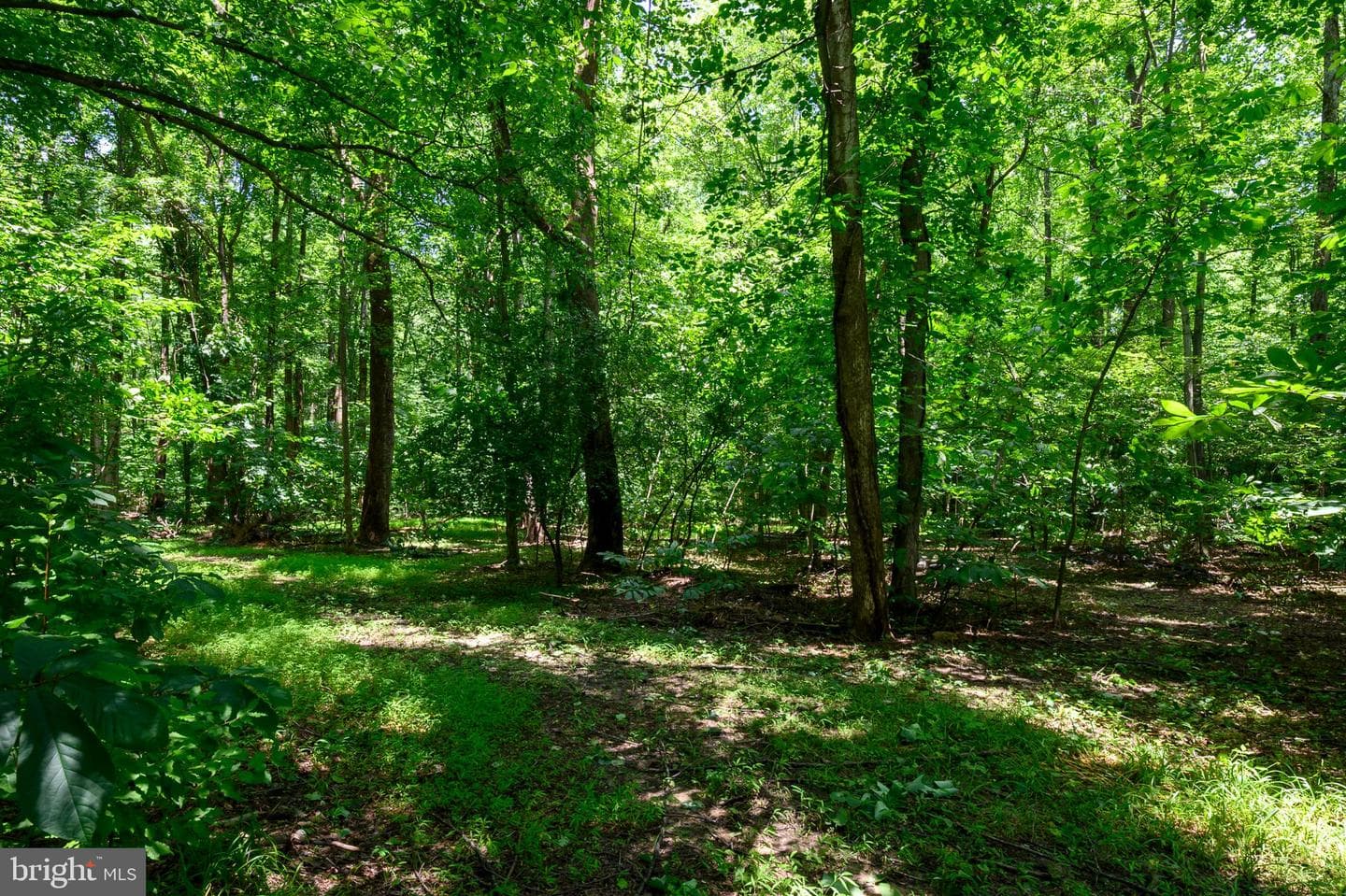 308 King James Court photo 44