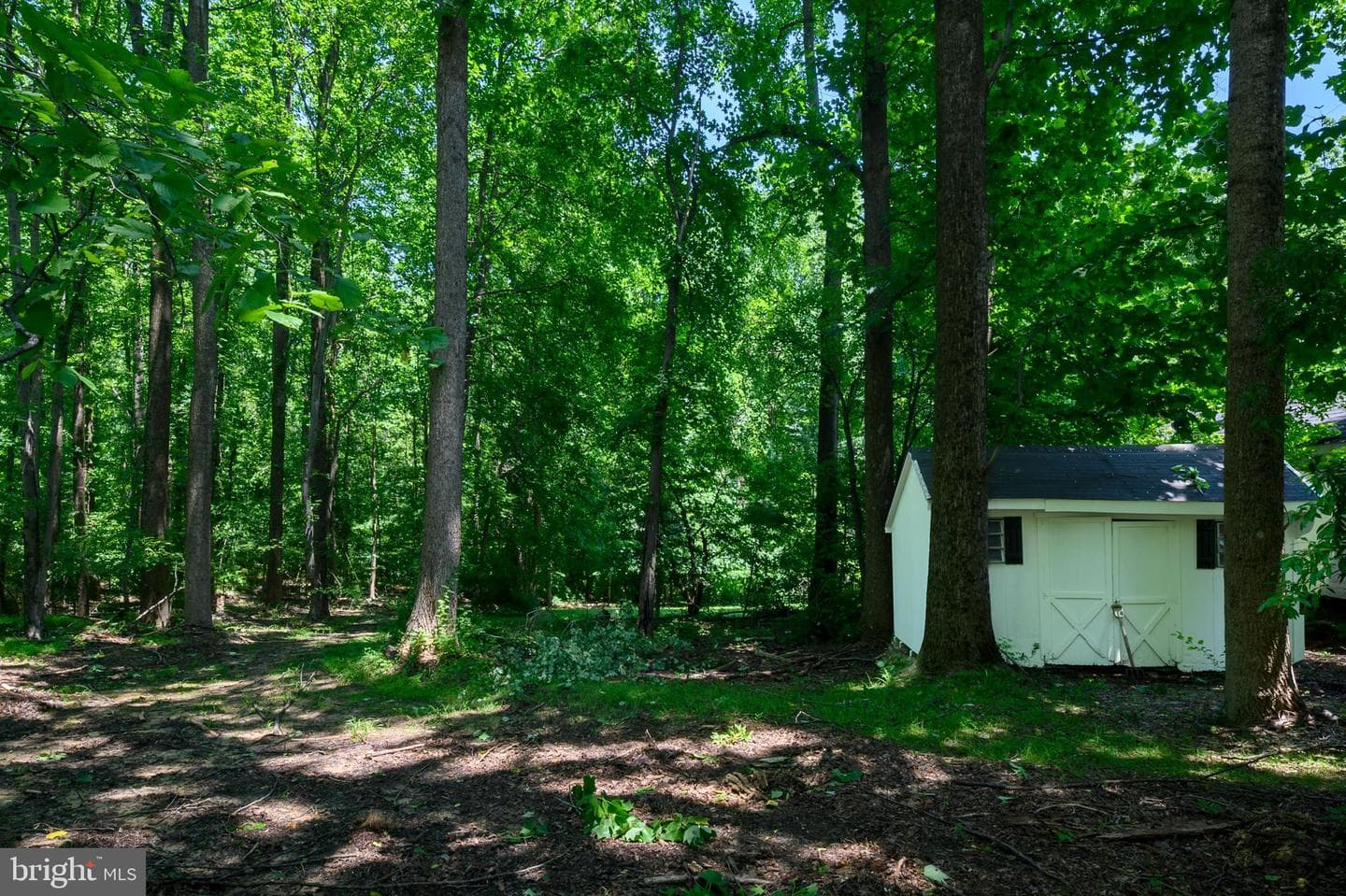308 King James Court photo 45