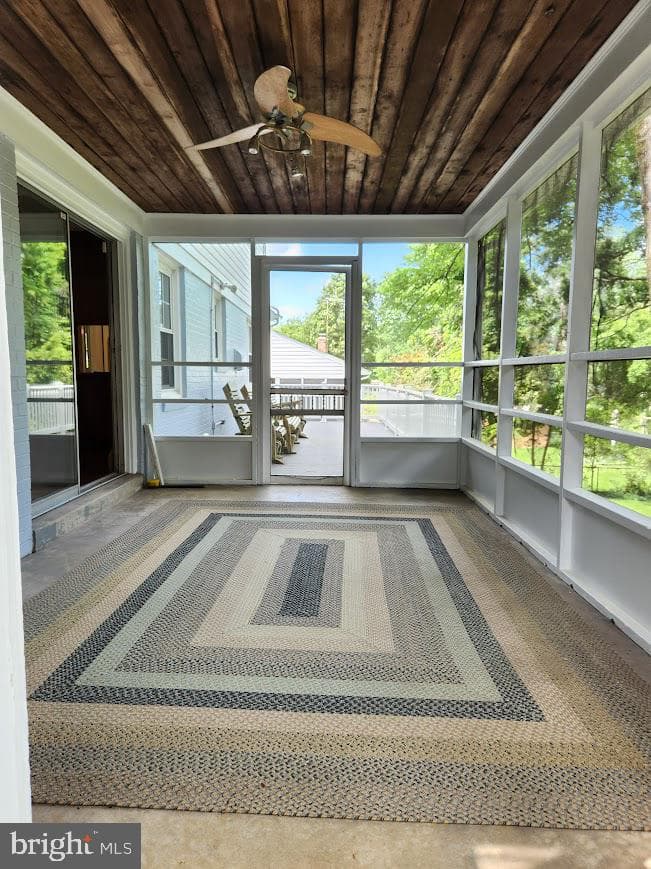 10103 Phoebe Lane photo 29
