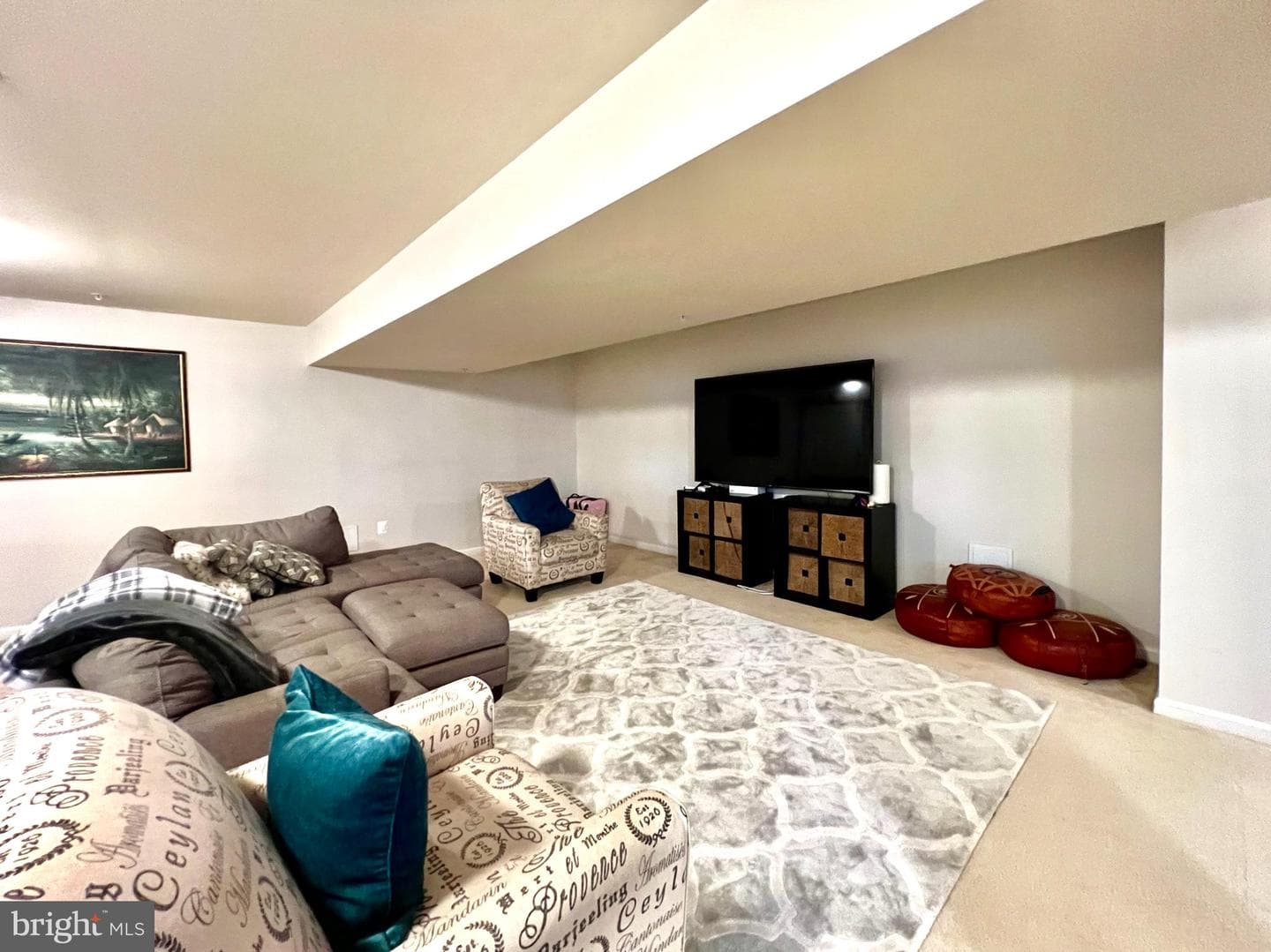 13501 Oaklands Manor Drive photo 36