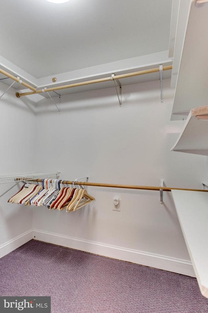 16101 Audubon Lane photo 57