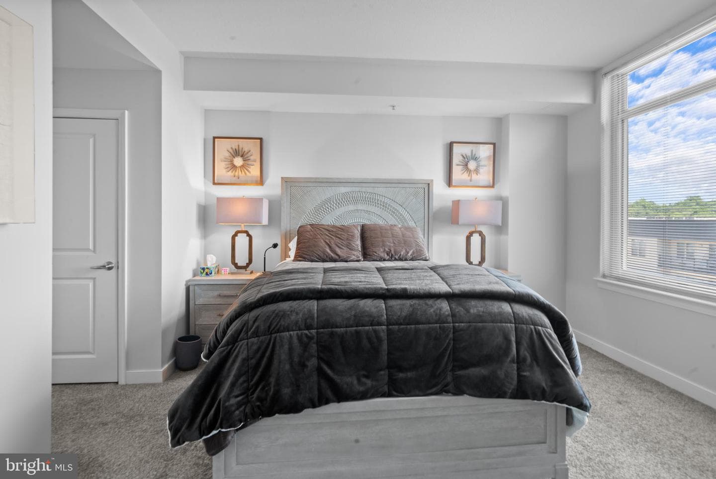 155 Potomac Passage #809 photo 11