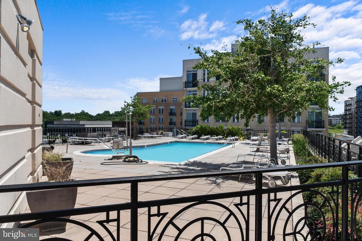 155 Potomac Passage #809 photo 17