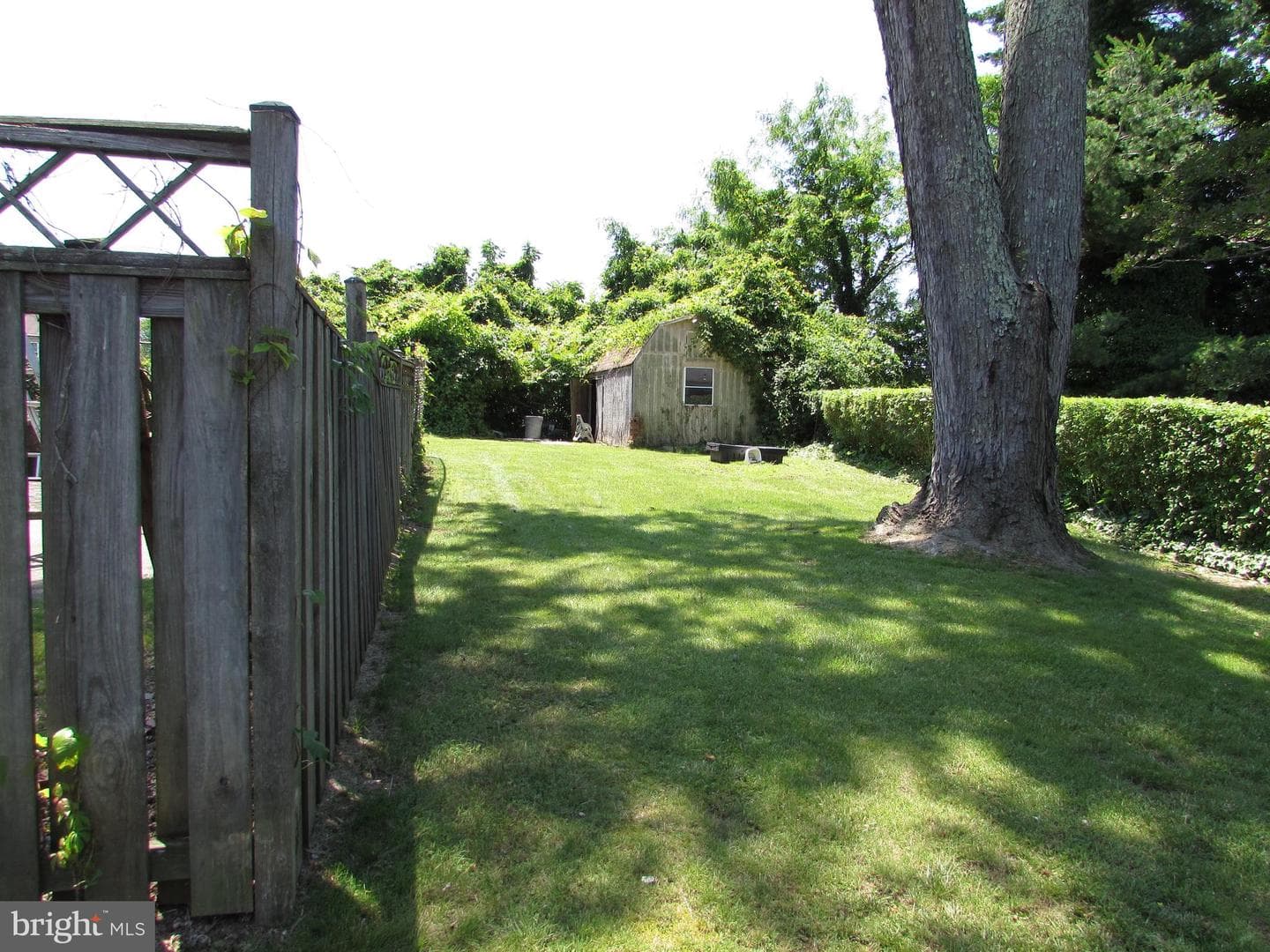 11805 Chantilly Lane photo 7