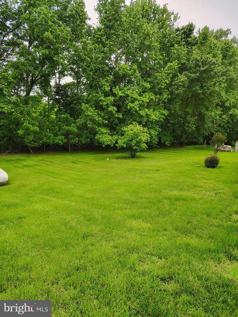 1412 Albert Drive photo 7