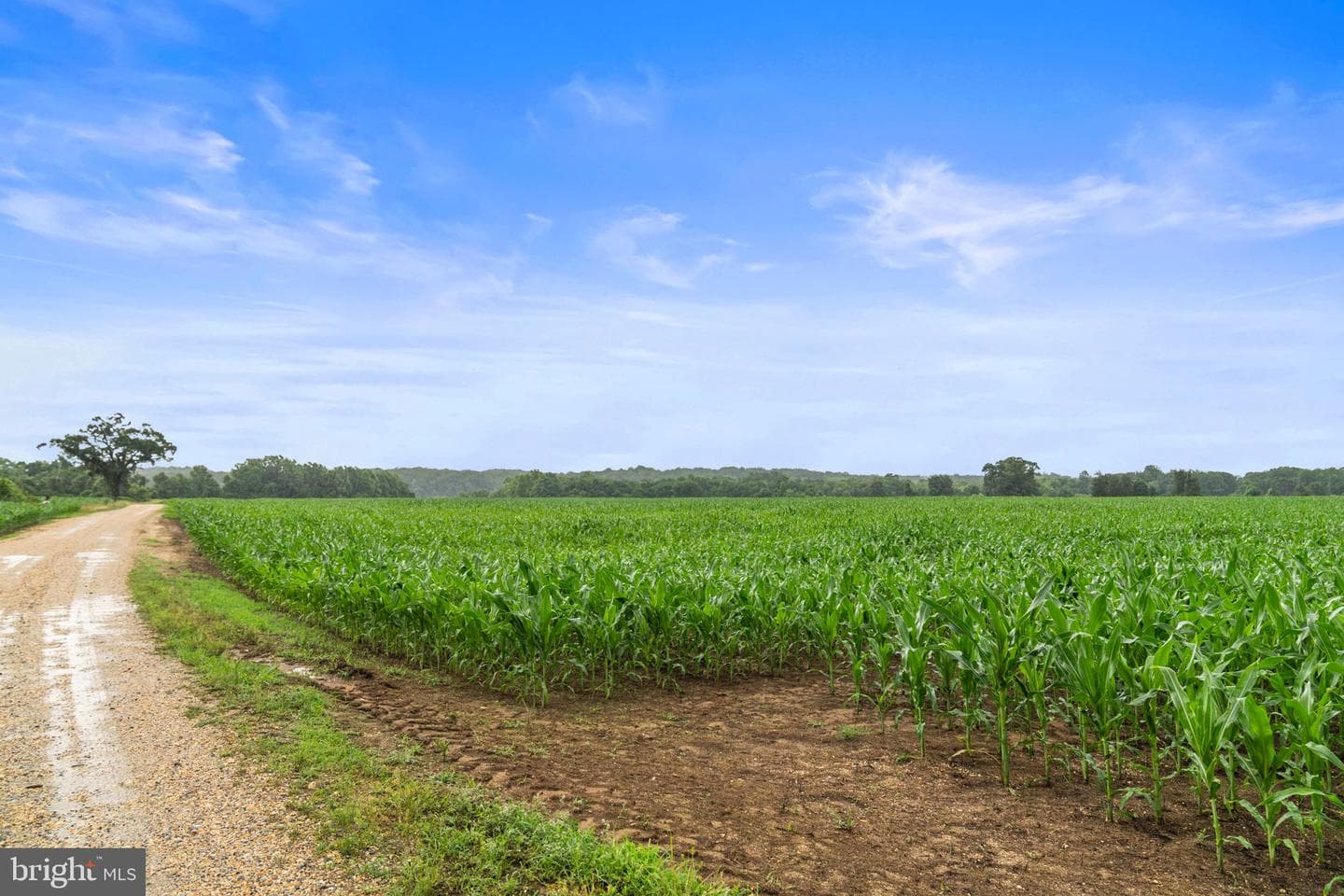 12210 Fenno Road photo 87