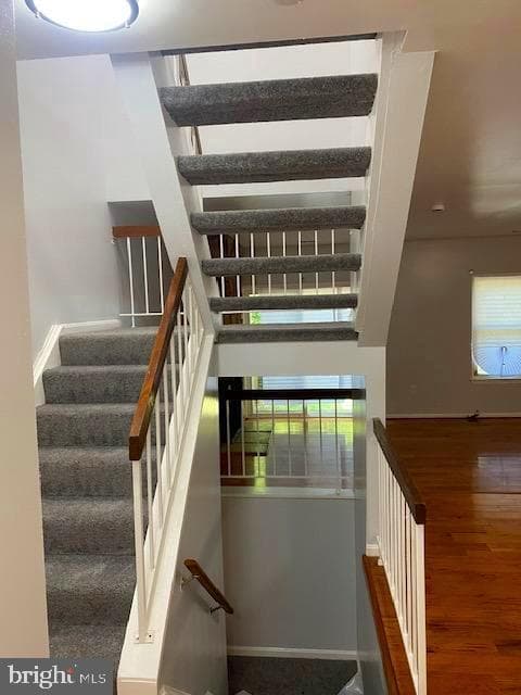 7001 Woodstream Terrace photo 14