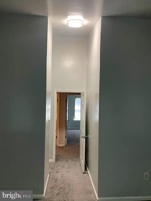 7001 Woodstream Terrace photo 19