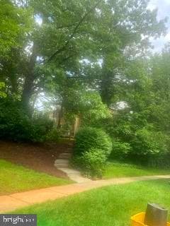 7001 Woodstream Terrace photo 37