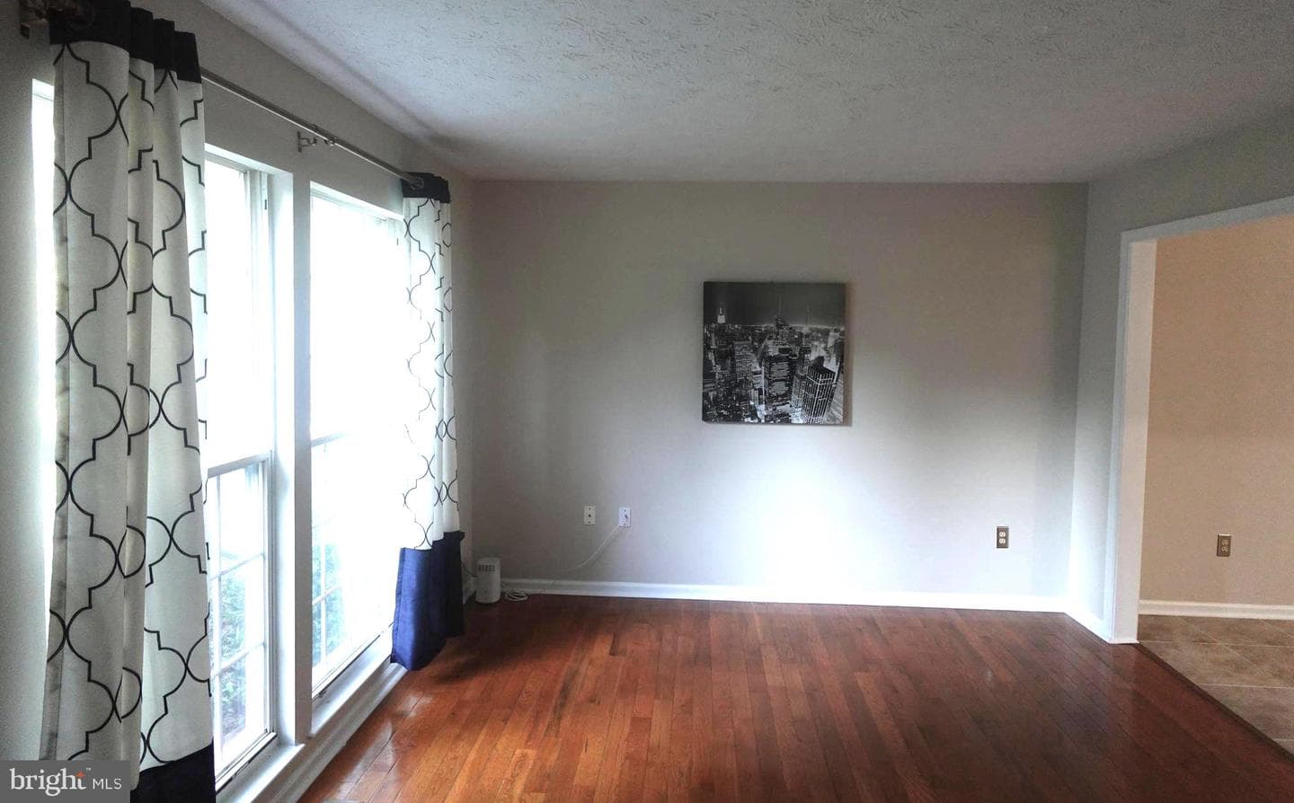 8307 Satinleaf Court photo 12